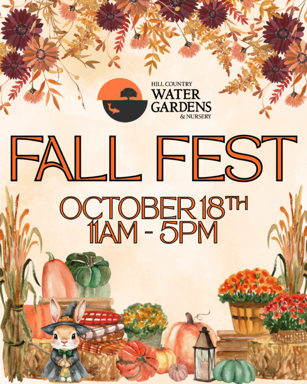 fall fest , October fest, 2025, October 18th, Cedar Park, Leander, Liberty Hill, Georgetown, Lago, Vista, Austin, Round Rock.