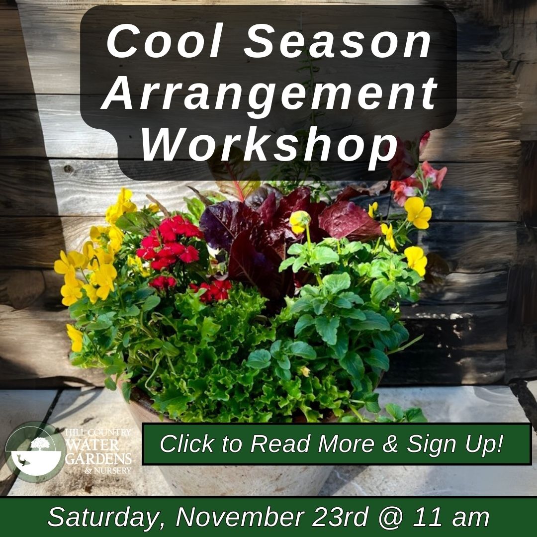 Cool Season Arrangement Workshop