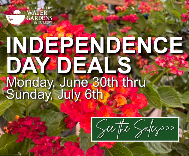 fourth of july sales 2025 flowers trees shrubs bonsai succulents rare cacti cactus seeds pottery outdoor fountains statuary  texas native plants austin pflugerville round rock cedar park leander