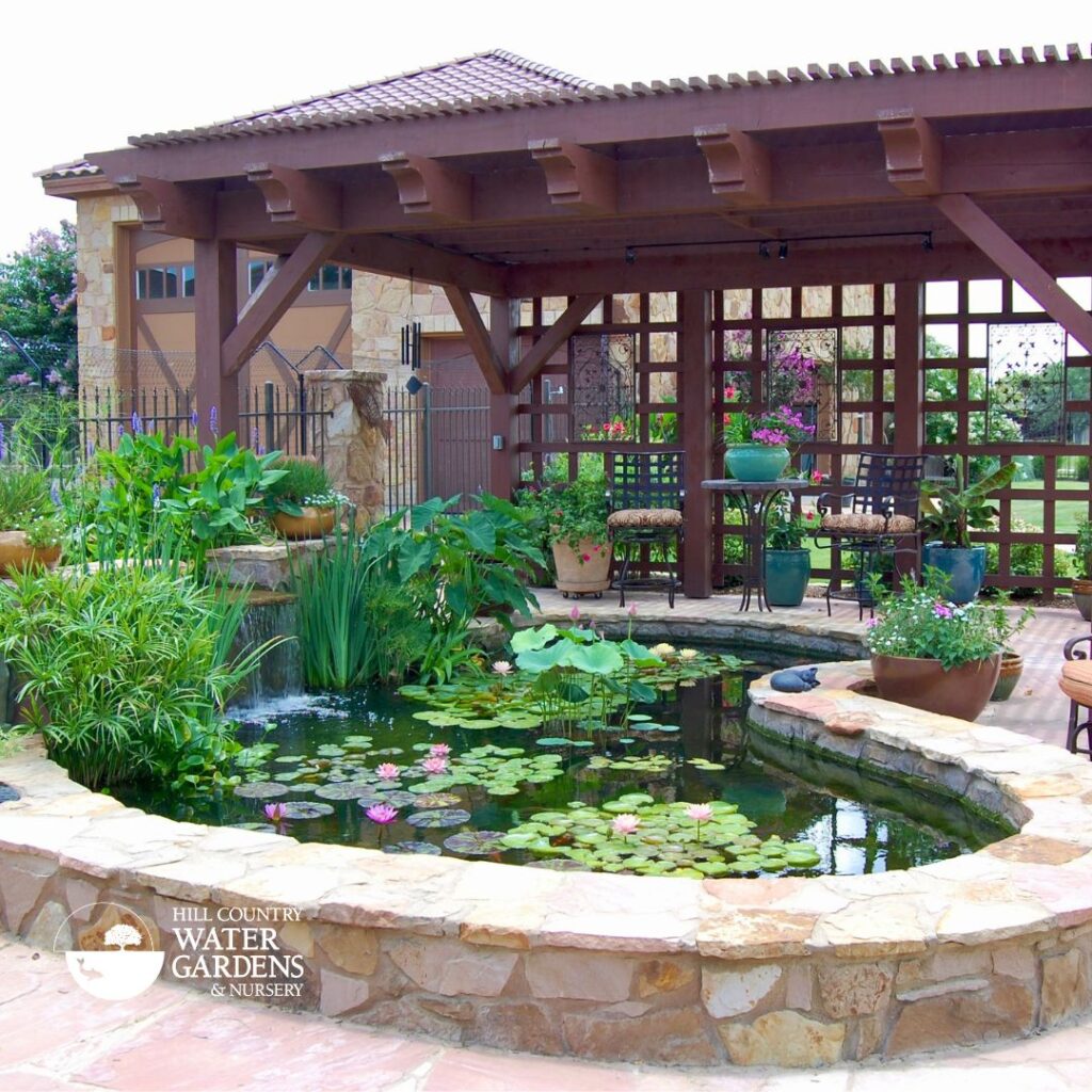 We design cascading waterfalls, ponds, water gardens, streams, water lilies, Lotus flowers, Japanese Koi, Fancy Goldfish, aquatic landscapes.