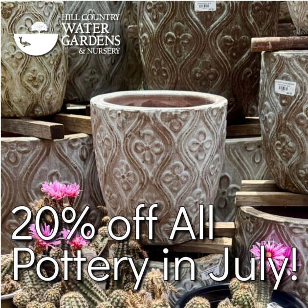 wholesale Landscape and indoor plant pottery in Austin, Texas. Cedar Park. Plant Nursery Near Me