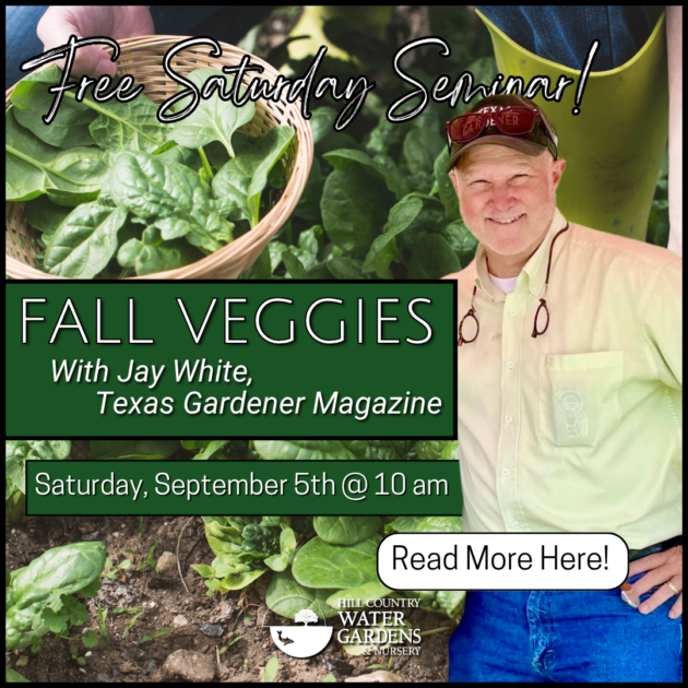 9-3-2026 web link -831 Jay White FALL GARDENS