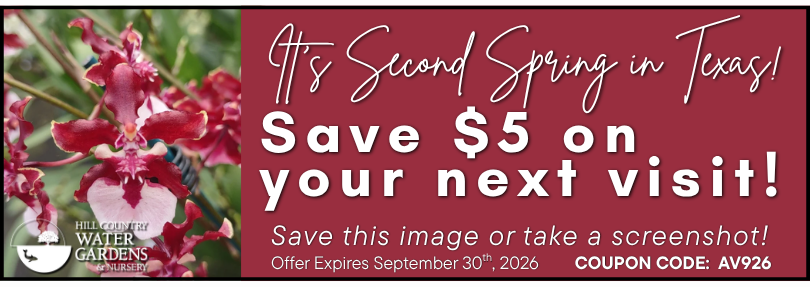 AV COUPON 9-4-2026 AV926