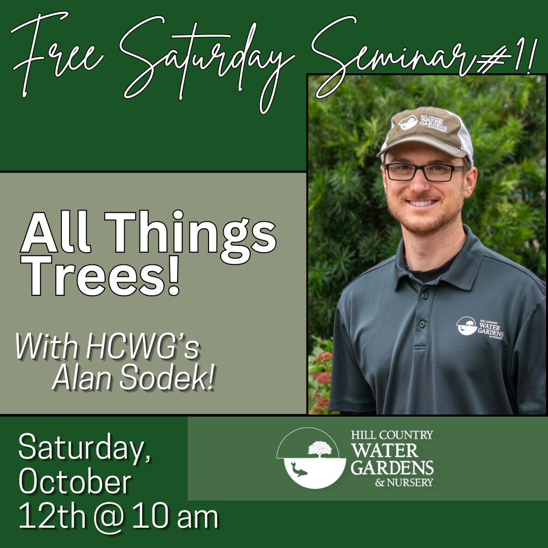 Alan's Tree Seminar