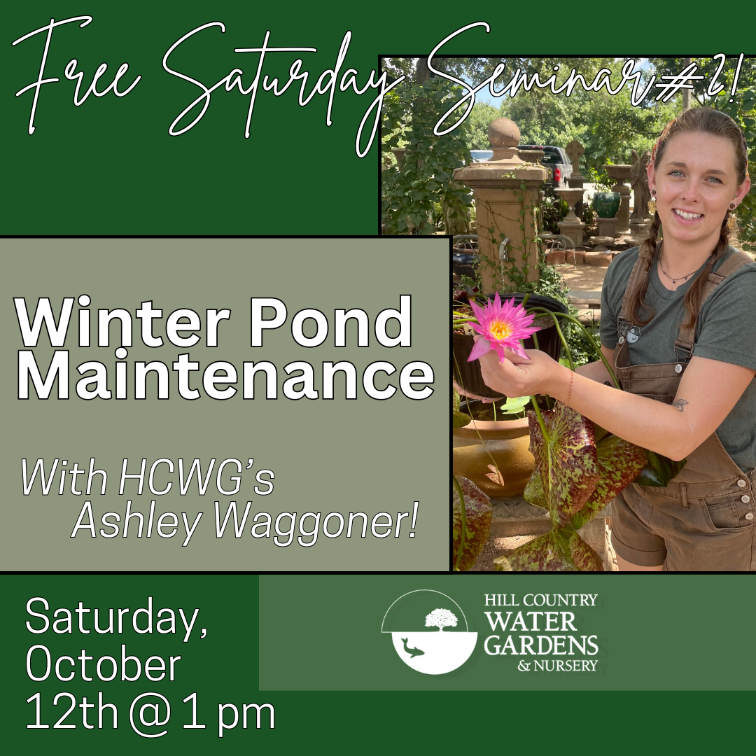 Ashley's Winter Pond Maintenance Seminar