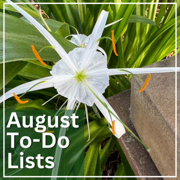 August To-Do Lists 1