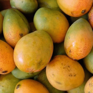 Carrie Mango