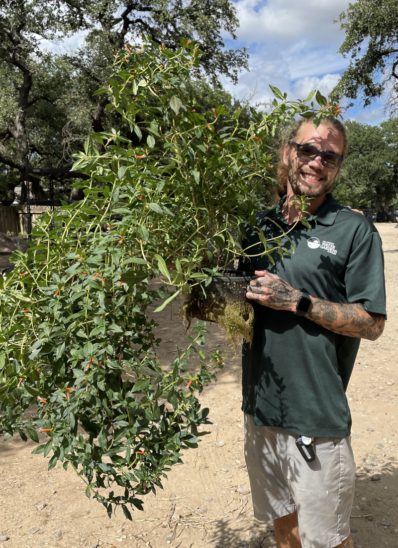 Horticulturist Calvin King holding a plant grown in a new media for ponds and water gardens.