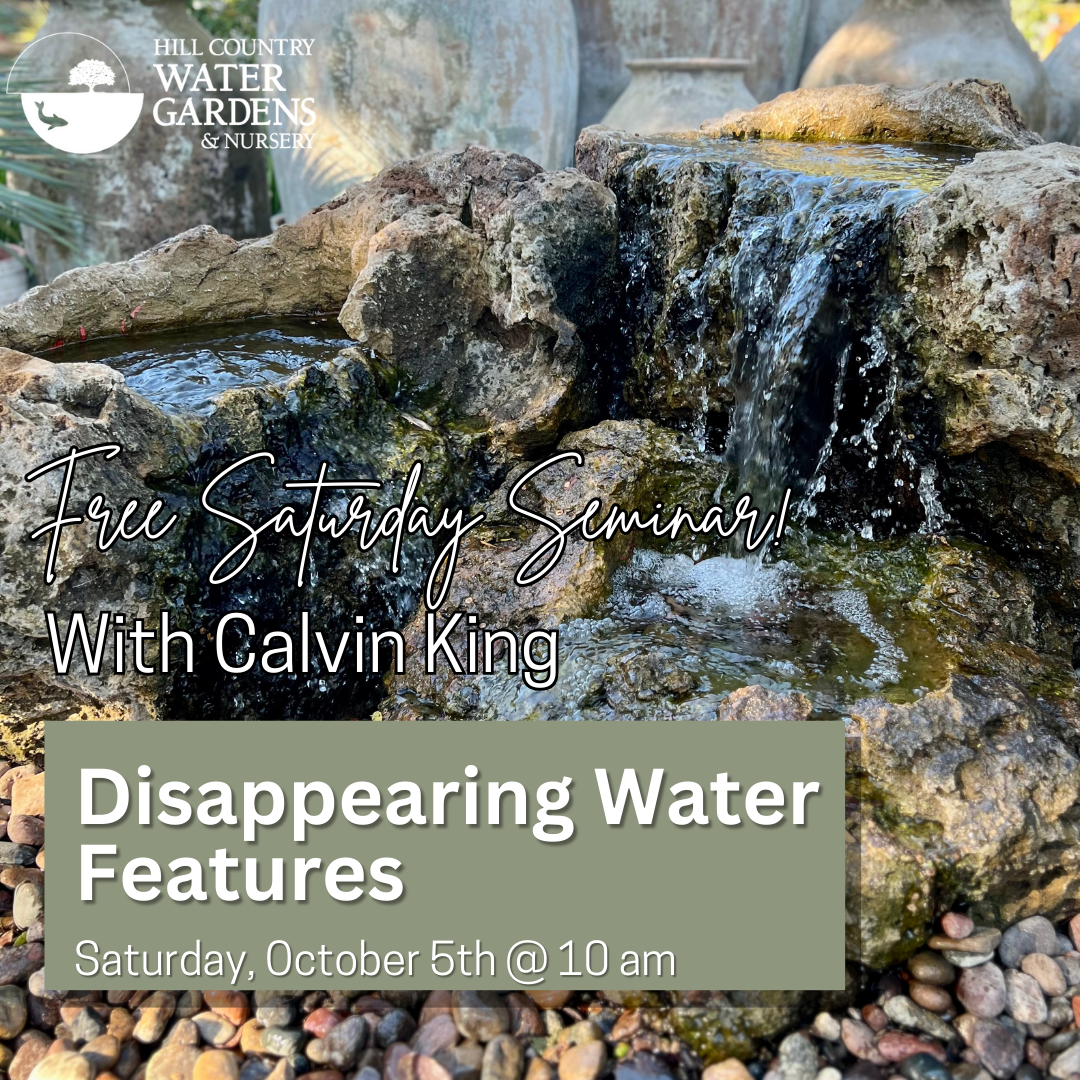 Disappearing Water Feature Seminar