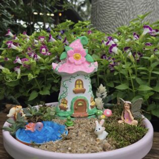 Fairy Garden Workshop