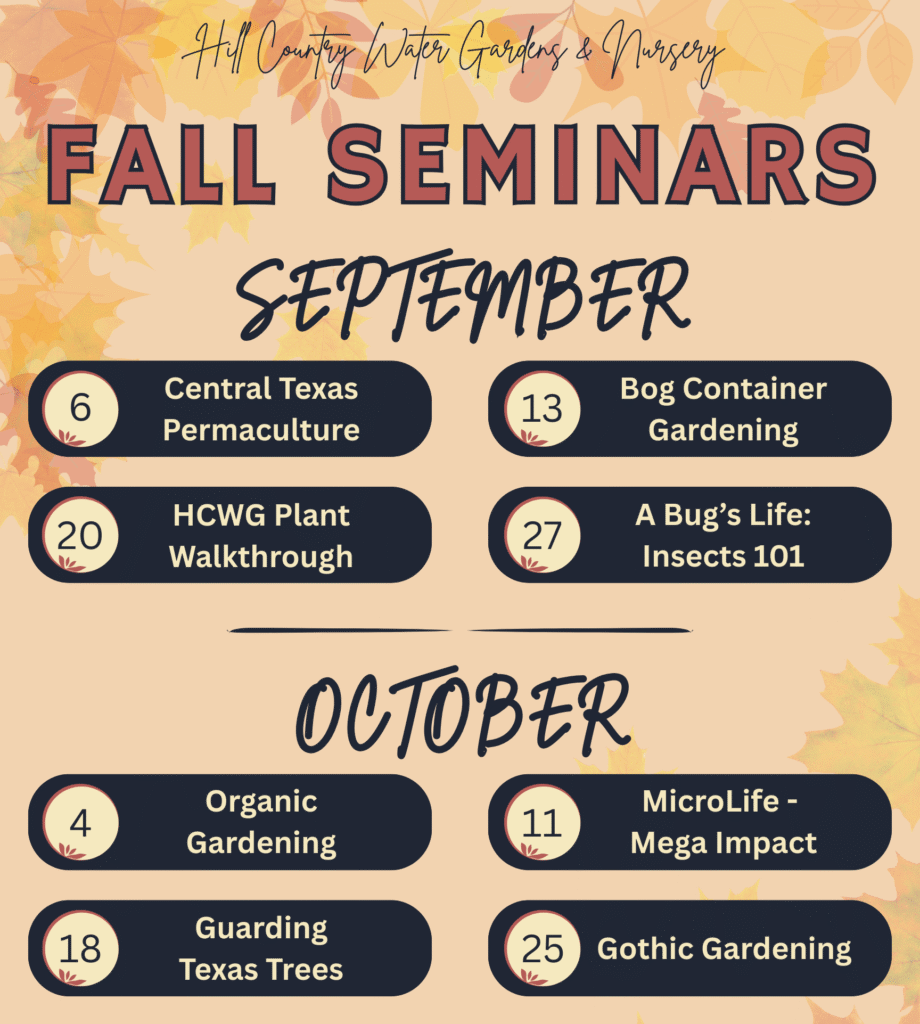 Fall 25 Seminars without bottom Fall 25 Seminars without bottom