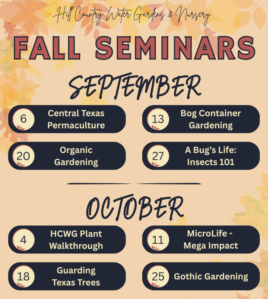 Fall '25 Seminars without bottom Updated