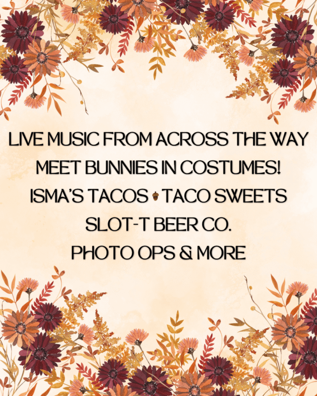 Fall Fest 25 Info