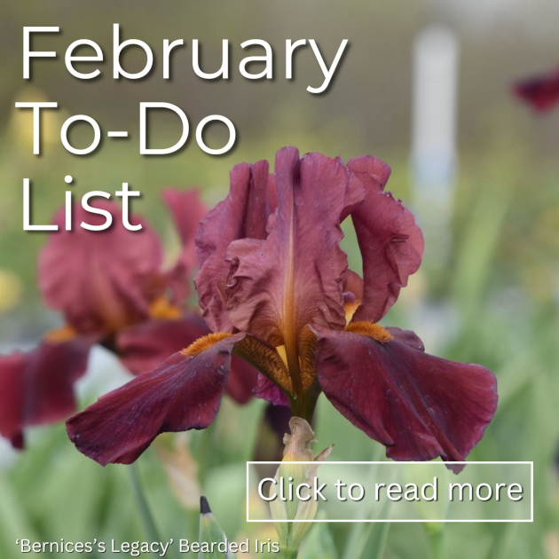 February To-Do List click 630 72