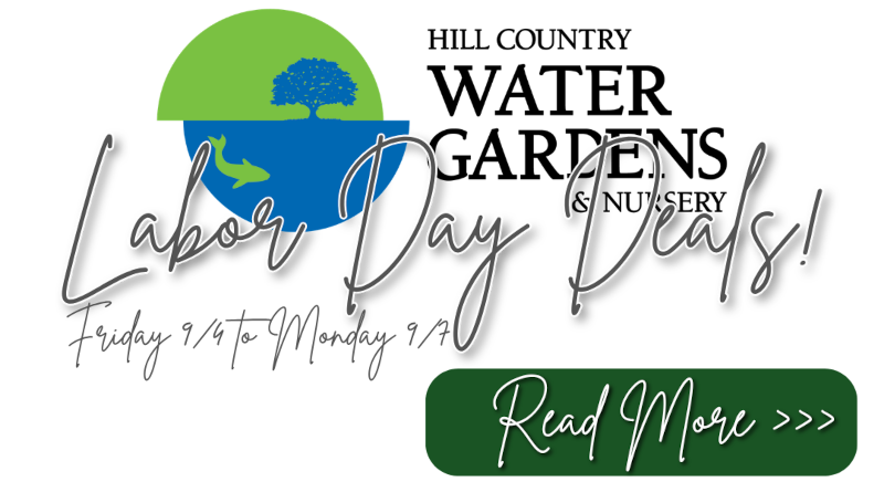 labor day sales 2026 cedar park nursery plants, plant nursery near me 78613 78641