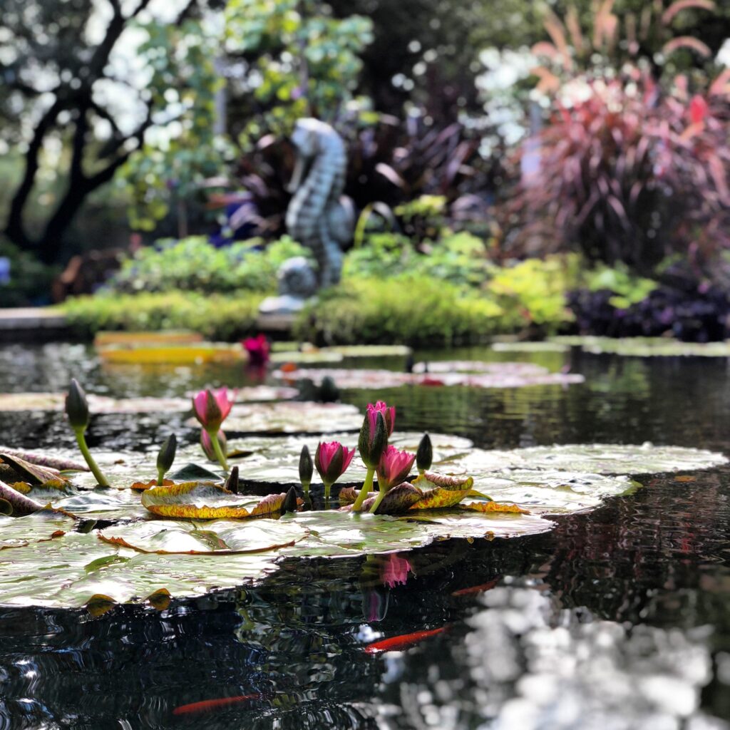 Pond Supplies Outdoor Ornamental Pond