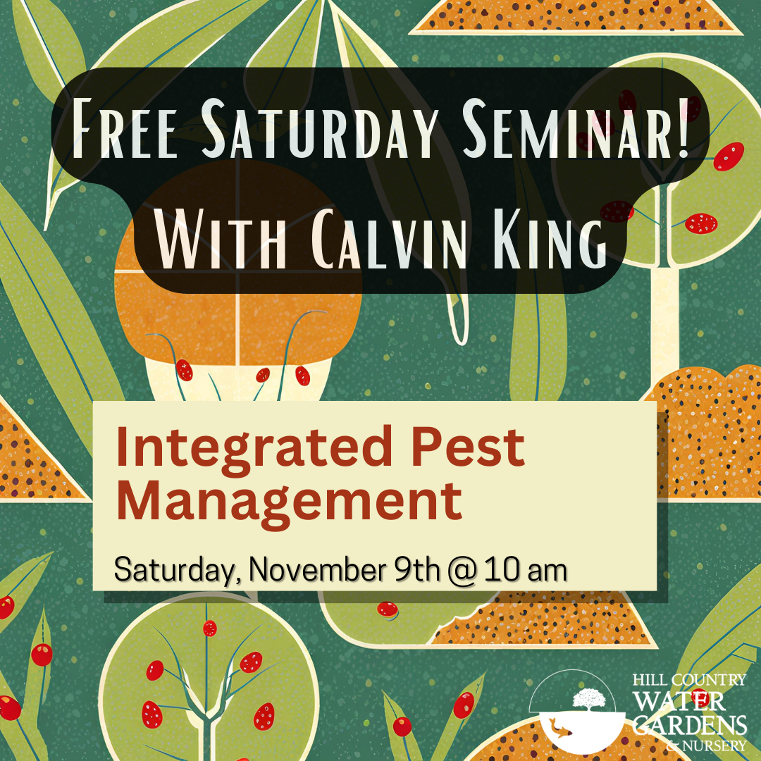 IPM Seminar