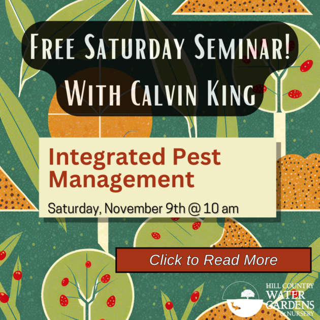 IPM Seminar2