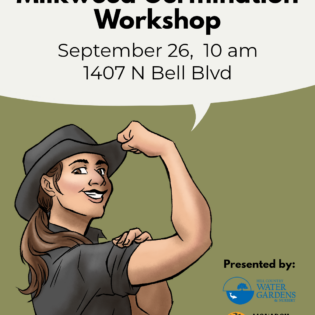 Native Milkweed Germination Workshop