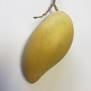 Nam Doc Mai Mango