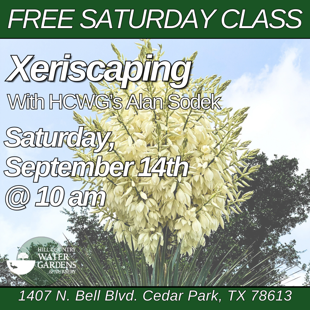 Newsletters 9-9-2024 xeriscaping & succ workshop