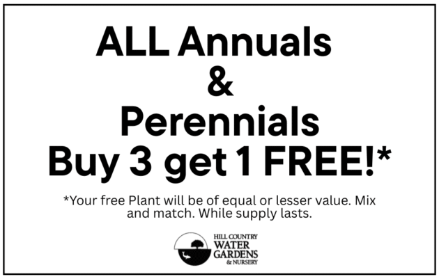 OCT plant deal 2025 web