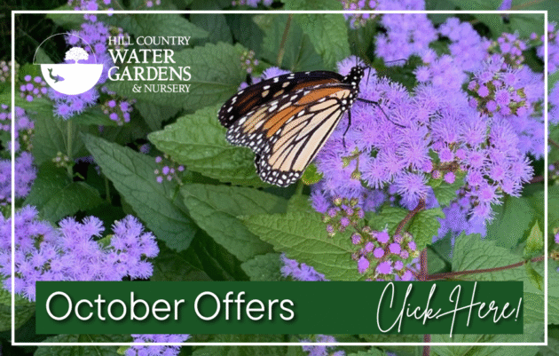 October offers 2025 web link 1000 png Landscape lawn and garden sales, deals, offers, coupon, sales code, discount code, trees, native plants, Austin