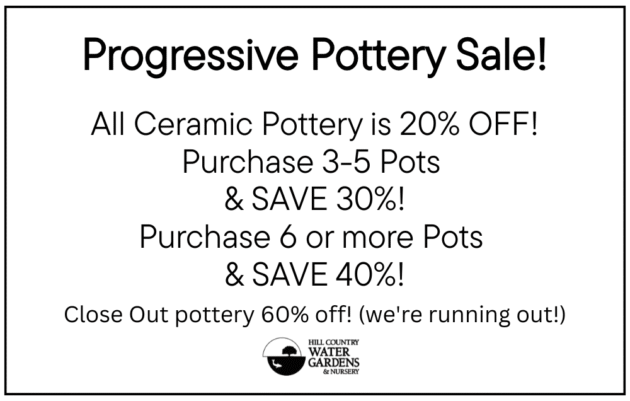 outdoor and indoor pottery house plants, cactus, succulents, potted plants, water bowls, bird baths, ceramic. sale. close out. containers. planters. clay. glazed.