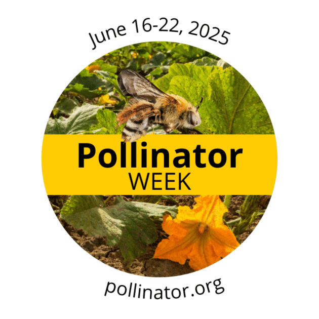 Pollinator-Week-Logo-2025-EN