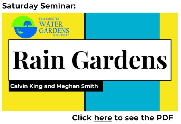 Rain Gardens & Dry Creek Beds 600 72 web10-31-2024 nu