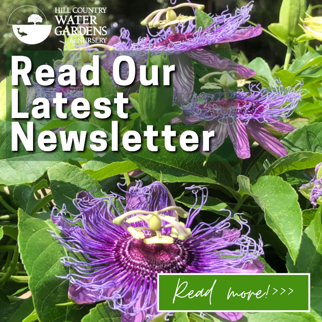 Read Our Latest Newsletter 630 72