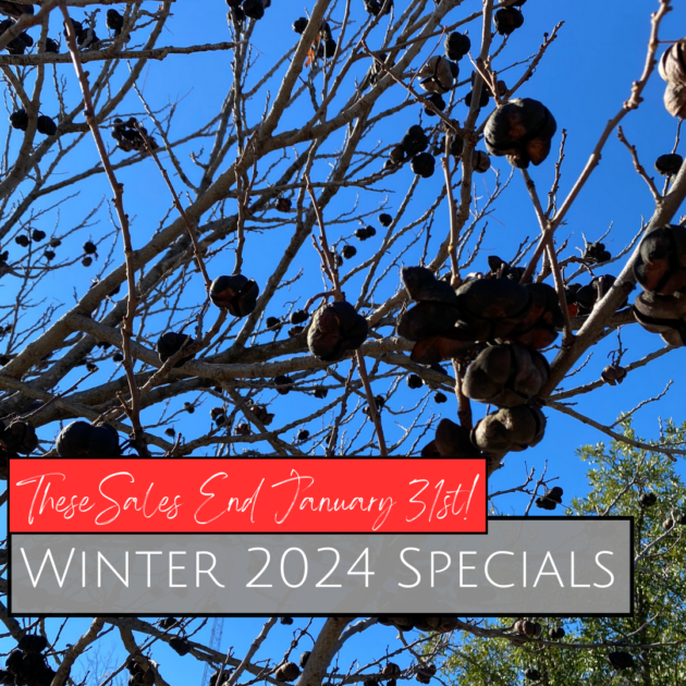 Winter 2024 Specials END JANUARY 31 2024 no click