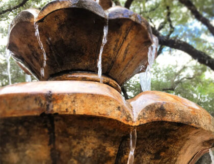 Winter-Fountain-Care-Cedarpark-Austin-TX