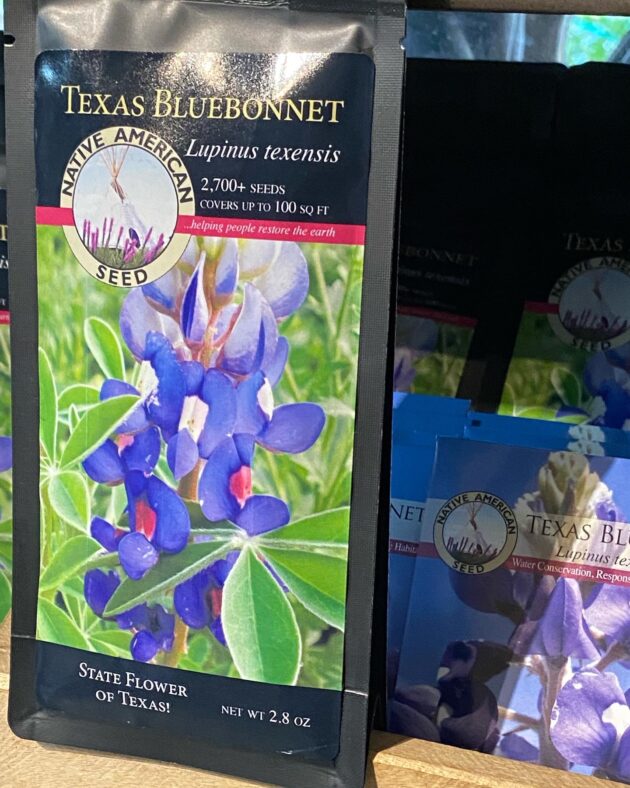 bluebonnet seeds