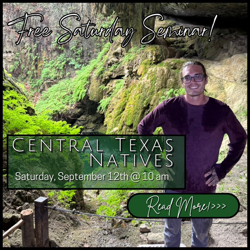 calander link - Central Texas Native Plants png