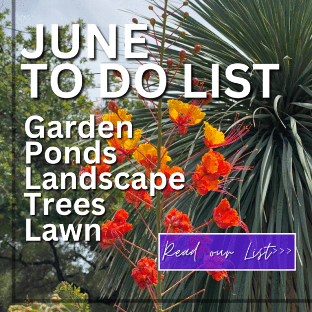 june to do list PNG from 5-30-24