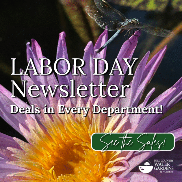 Labor day weekend deals for trees garden supplies plants flowers local austin cedar park texas