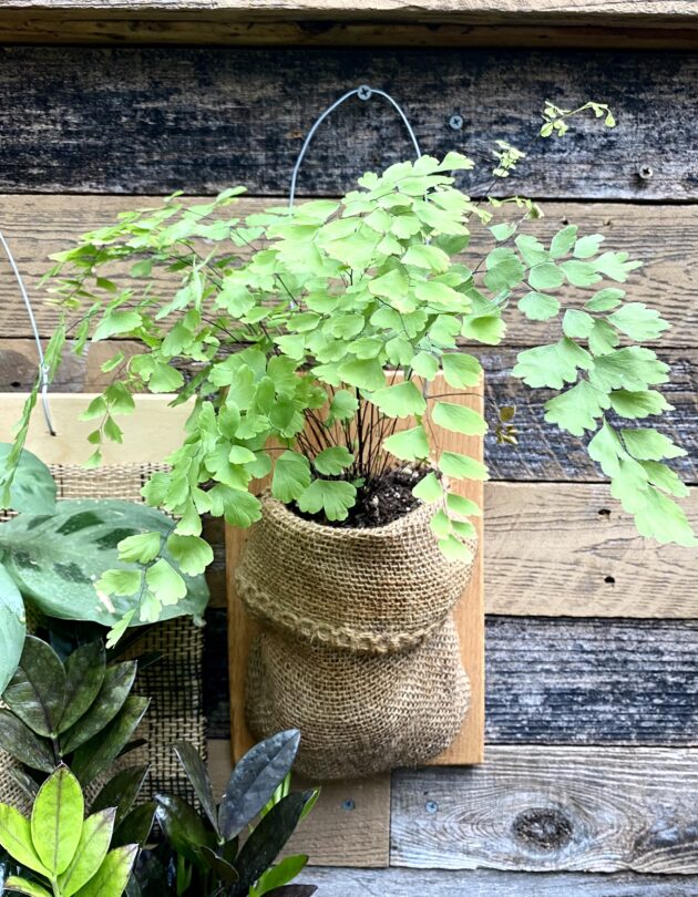 burlap vertical planters by Lacy W