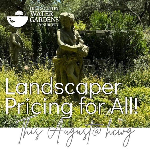 plant discounts sale landscape landscapint, plant nursery near me, Cedar Park, Texas