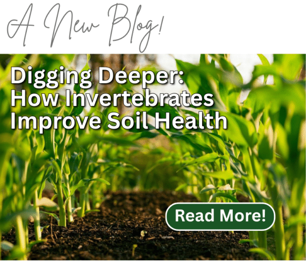 Blog Post: How Insects and invertebrates improve soil health and quality!