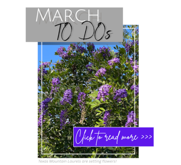 march-to-do-list-for-links-2025 630 x 72 png