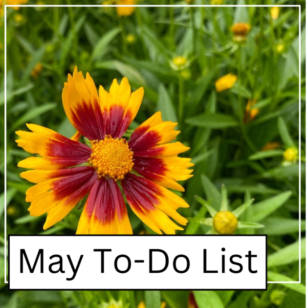 May To Do List for Central Texas Lawns, Gardens, and Landscapes.