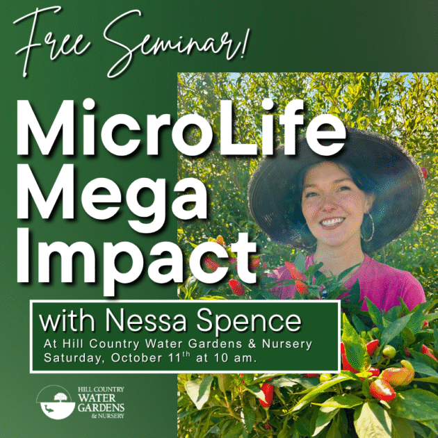 organic gardening CEDAR PARK, AUSTIN, ROUND ROCK, TEXAS free class talk education