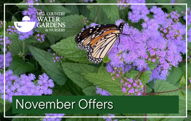 plant sales offers discount codes austin Cedar Park near me