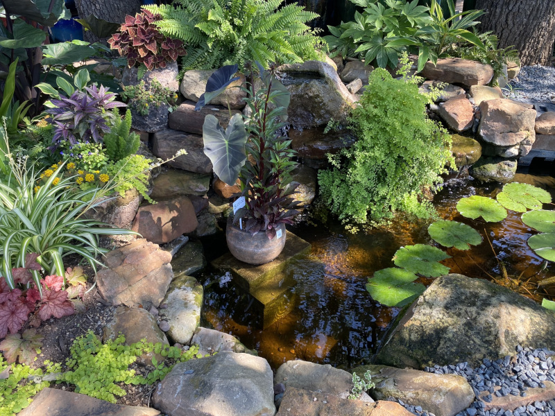 Wildlife ponds can be decorative as well as functional!