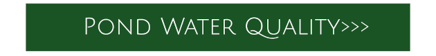 pond water botton for JULY to do