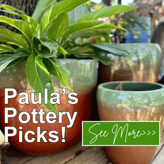 outdoor indoor pottery containers for plants Cedar Park, Tx Texas Austin Round Rock Georgetown near me