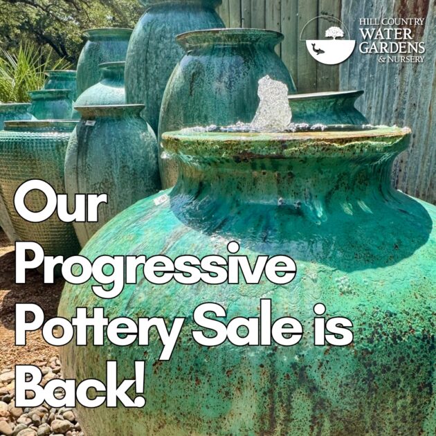 prog pottery 8-27-26