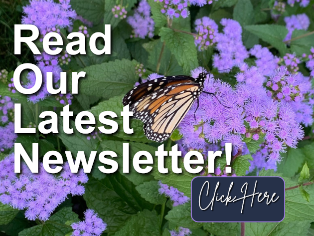 read our Newsletter link 630 72