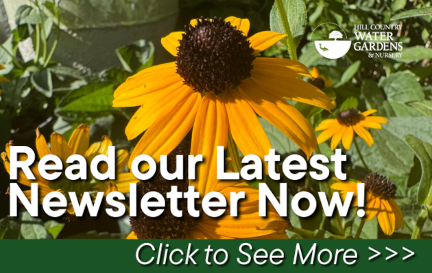 gardening deals local sales discounts coupons 